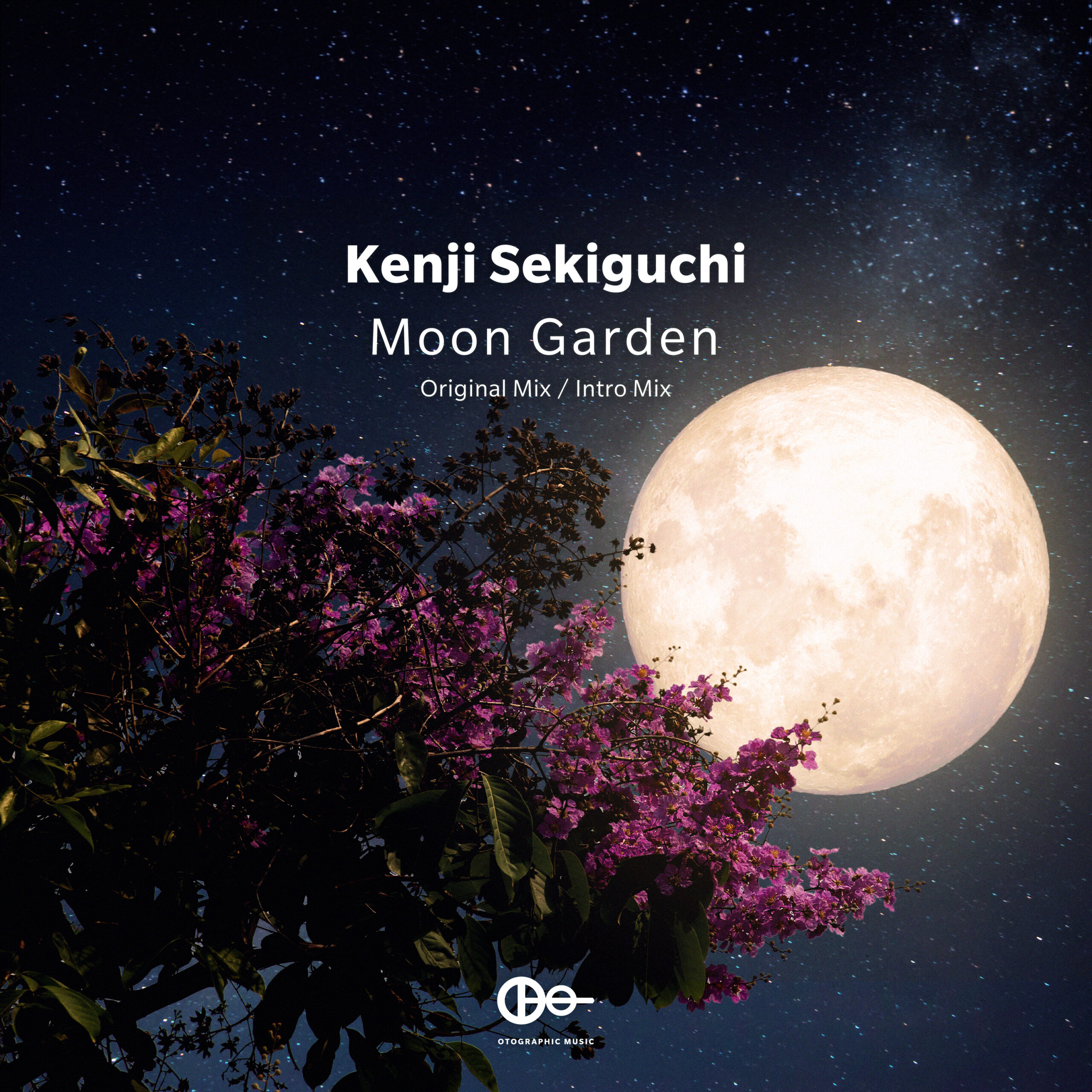 Kenji Sekiguchi “Moon Garden”